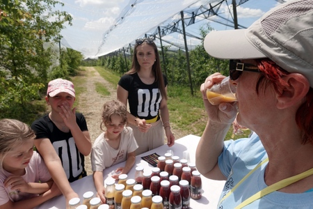 494714607_24142073708744027_6873014324416258794_n