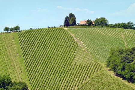 494732610_24142074518743946_2559858857510732381_n