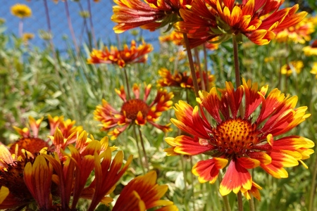 495221232_24142078645410200_1002055443587416697_n