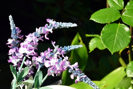 501002106_24142061258745272_7314154113033780685_n