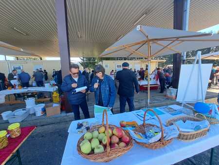 IMG-20251004-WA0046