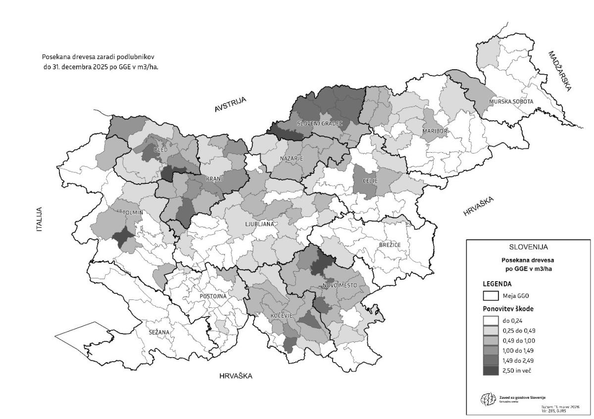 Posek iglavcev zaradi žuželk oz. podlubnikov po gozdnogospodarskih enotah v letu 2025 | Avtor: Zavod za gozdove Slovenije